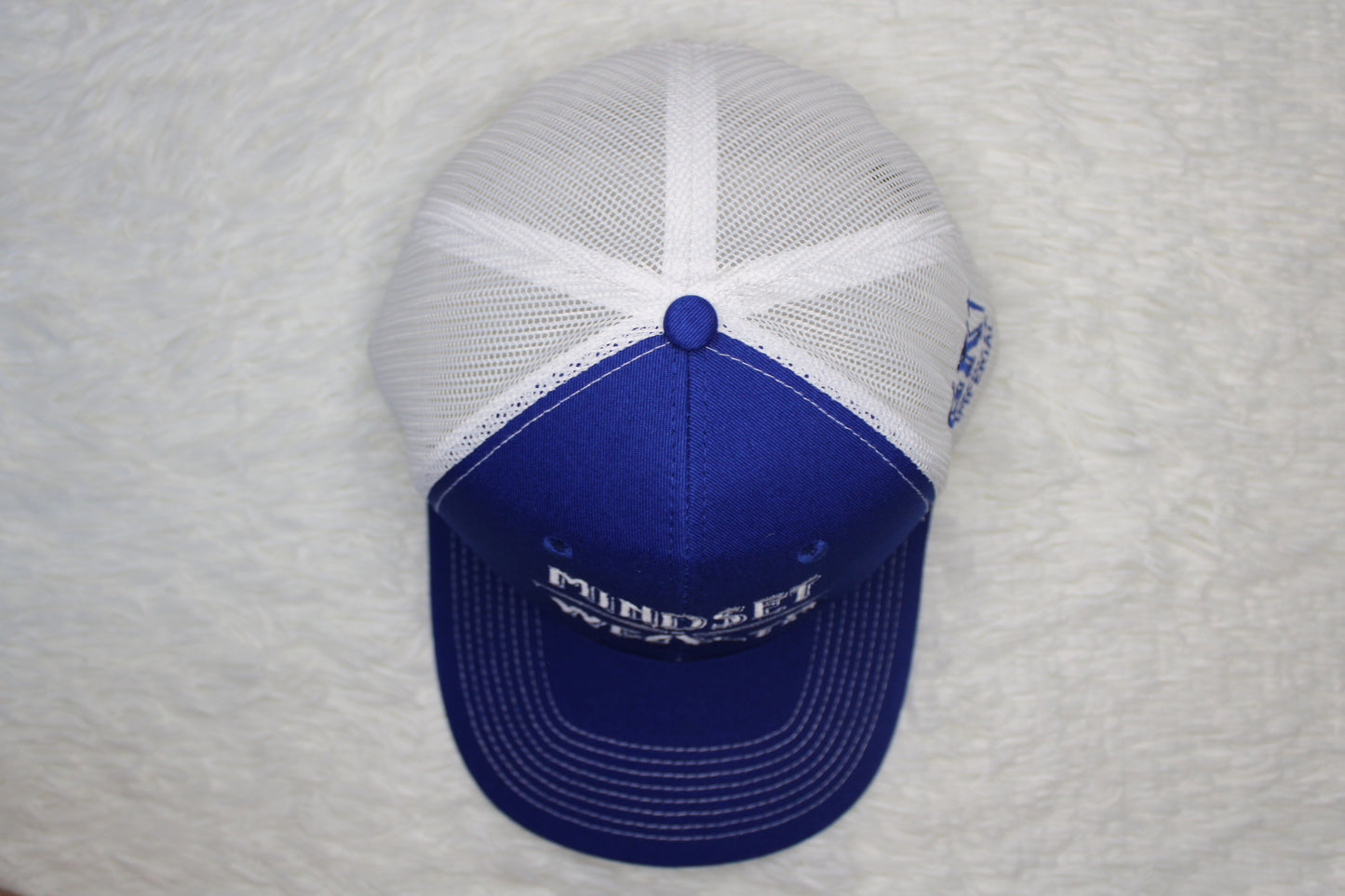 Mindset = Wealth Trucker Hat (Blue/White)