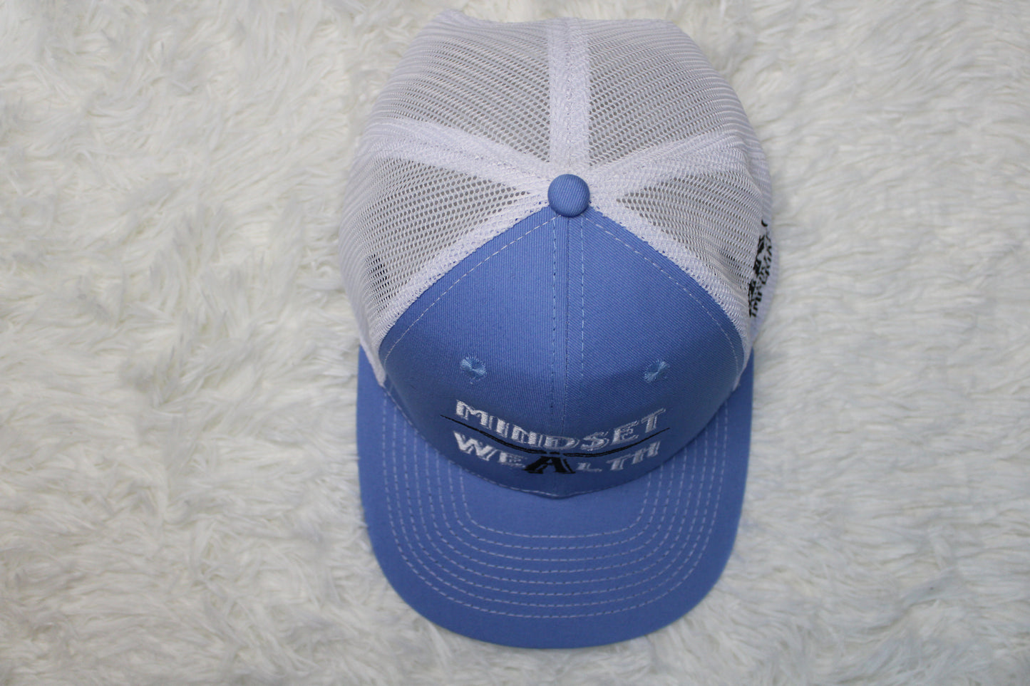 Mindset = Wealth Trucker Hat (Light Blue)